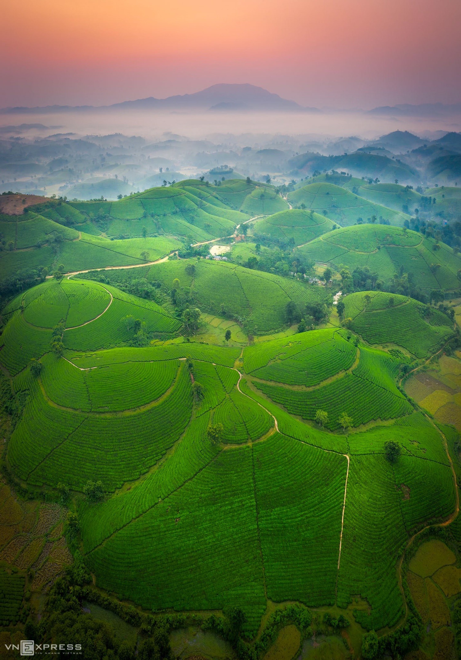Long Coc in Phu Tho Province, 112 kilometers from Hanoi, comprises numerous tea plantations. Local tea ‘islands’ are often compared to the limestone islets in Ha Long Bay, a UNESCO world heritage site in Quang Ninh Province, northern Vietnam. The mountains in Phu Tho are home to the Muong ethnic minority.