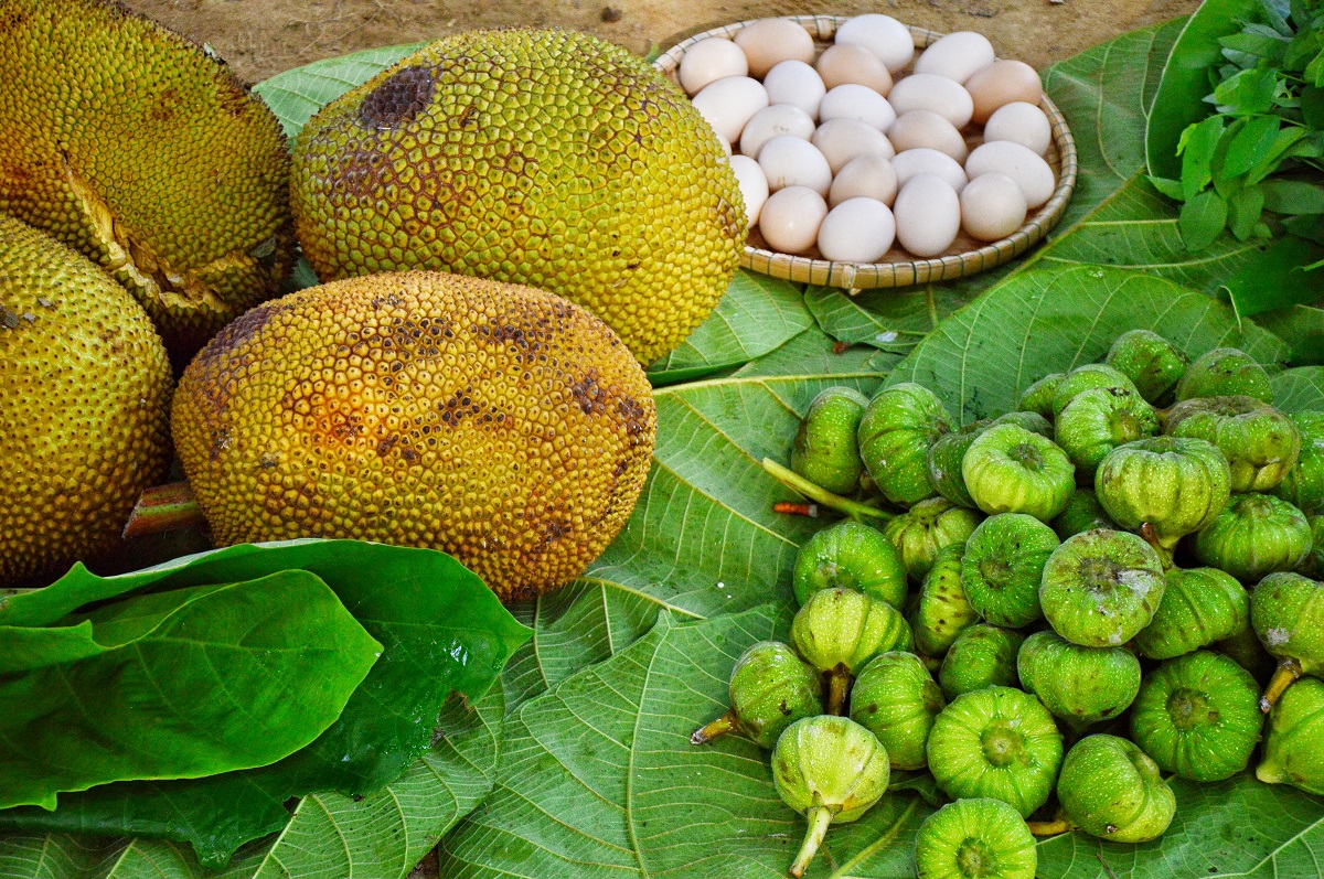 Phuoc Tich Ancient Village